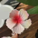 6Pcs Gradient Flower Shark Hair Clips - Image 9