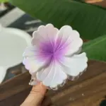6Pcs Gradient Flower Shark Hair Clips - Image 6