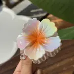 6Pcs Gradient Flower Shark Hair Clips - Image 5