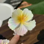 6Pcs Gradient Flower Shark Hair Clips - Image 4
